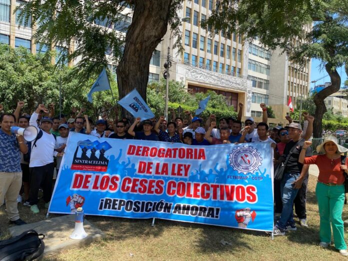 Celima planton 19febrero 03