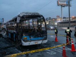 ¿Habrá salida al problema de la criminalidad en las próximas elecciones?